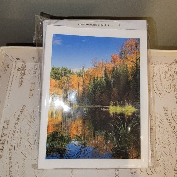 Packet of 8 Notecards - Adirondack Light 1 - Picture 11 of 14